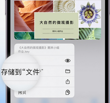 吴起apple维修中心分享iPhone文件应用中存储和找到下载文件