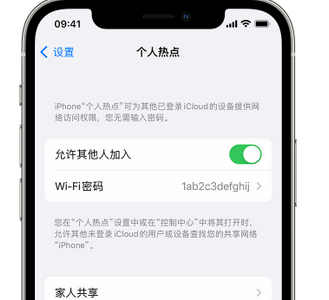 吴起apple服务站点分享iPhone上个人热点丢失了怎么办 