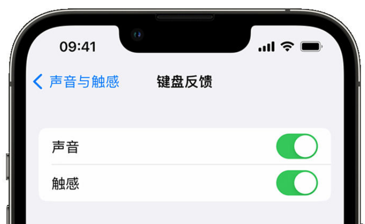 吴起苹果手机维修分享iPhone 14触感键盘使用方法 