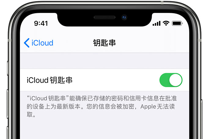 吴起苹果手机维修分享在 iPhone 上开启 iCloud 钥匙串之后会储存哪些信息 