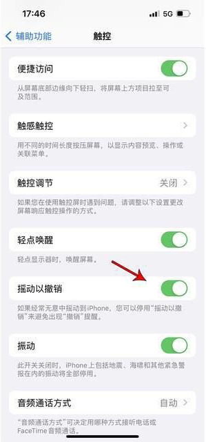 吴起苹果手机维修分享iPhone手机如何设置摇一摇删除文字 